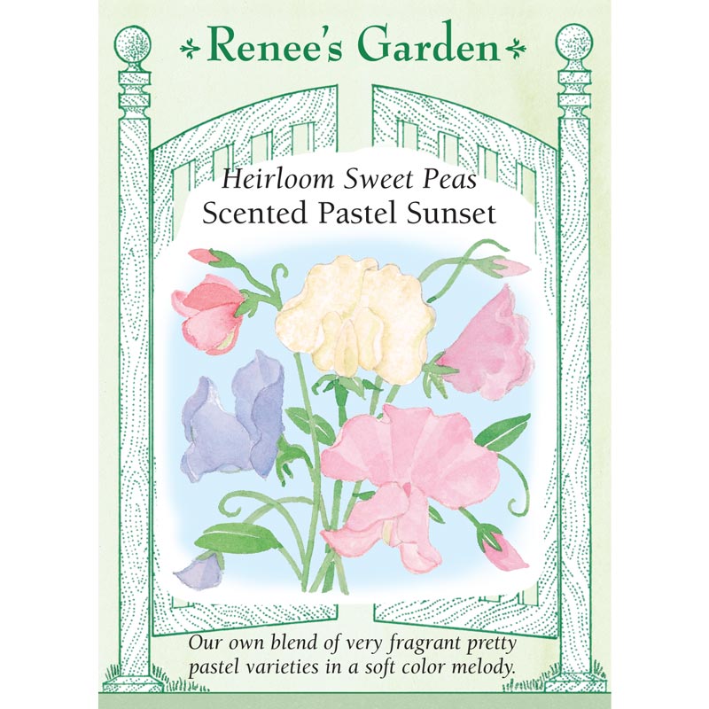 Renee's Garden Sweet Pea Pastel Sunset (Heirloom) Renee's Garden Sweet Pea Pastel Sunset (Heirloom) Flower Seed & Bulbs
