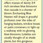 Renee's Garden Lobelia Windowbox Blue Heaven - Grow Organic Renee's Garden Lobelia Windowbox Blue Heaven Flower Seed & Bulbs