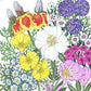 Southwest Wildflower Mix (Pack) - Grow Organic Southwest Wildflower Mix (Pack) Flower Seed & Bulbs