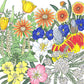 California Perennial Wildflower Mix (pack) - Grow Organic California Perennial Wildflower Mix (pack) Flower Seeds