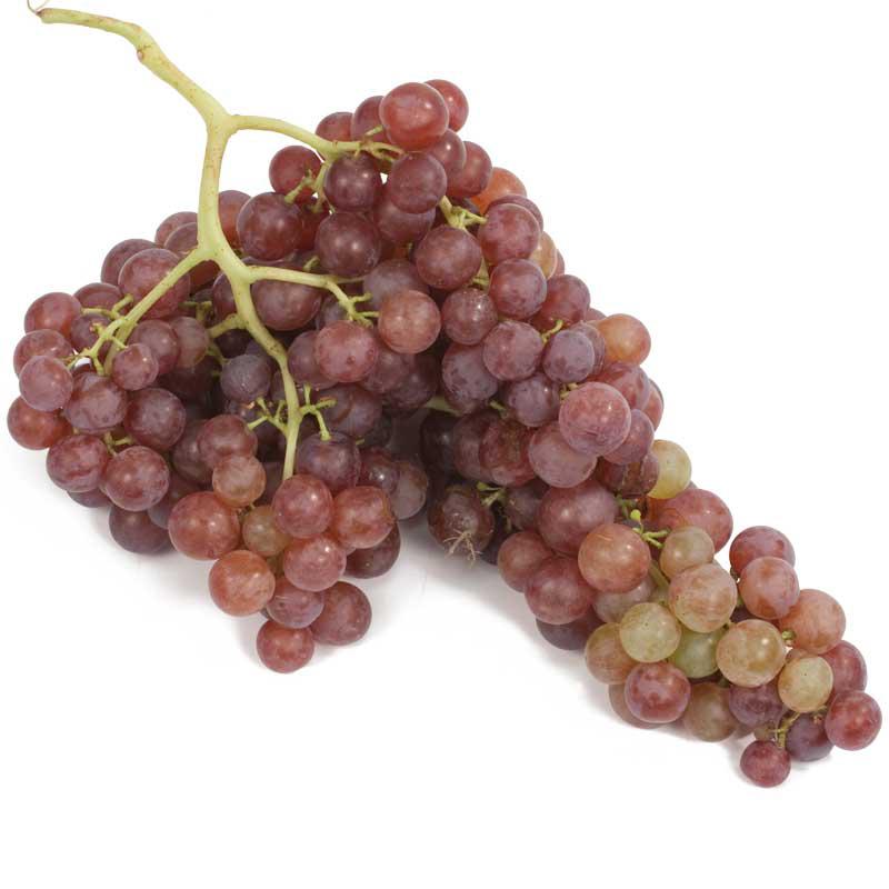 Table Grape Vine - Flame (Seedless) for Sale - Grow Organic Table Grape Vine - Flame (Seedless) Berries and Vines
