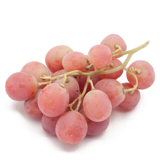 Table Grape Vine - Red Globe - Grow Organic Table Grape Vine - Red Globe Berries and Vines