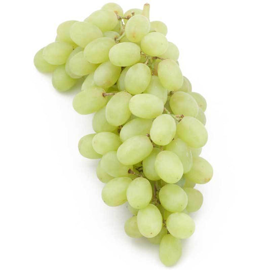 Table Grape Vine - Thompson (Seedless) - Grow Organic Table Grape Vine - Thompson (Seedless) Berries and Vines