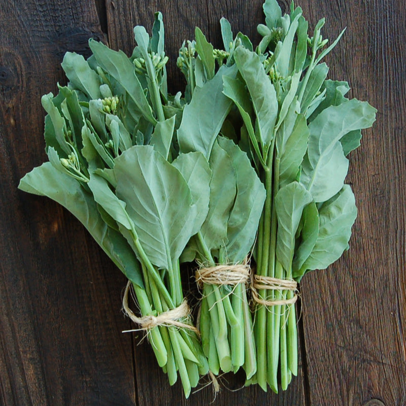 Chinese, Te You Broccoli Seeds (Organic) - Grow Organic Chinese, Te You Broccoli Seeds (Organic) Vegetable Seeds