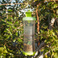 Reusable W-H-Y Trap with Attractant - Grow Organic Reusable W-H-Y Trap with Attractant Weed and Pest