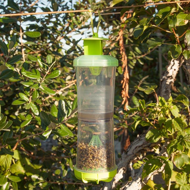 Reusable W-H-Y Trap with Attractant - Grow Organic Reusable W-H-Y Trap with Attractant Weed and Pest