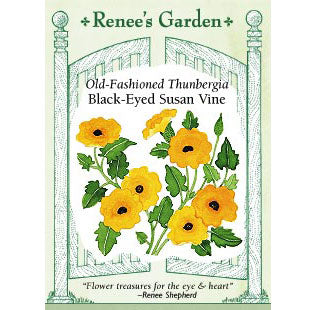 Renee's Garden Thungbergia Black-eyed Susan Vine (Heirloom) Renee's Garden Thungbergia Black-eyed Susan Vine (Heirloom) Flower Seed & Bulbs