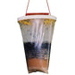 Flies Be Gone Fly Trap for Sale Flies Be Gone Fly Trap Weed and Pest