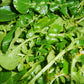 Organic Greens, Watercress (1 oz) - Grow Organic Organic Greens, Watercress (1 oz) Vegetable Seeds