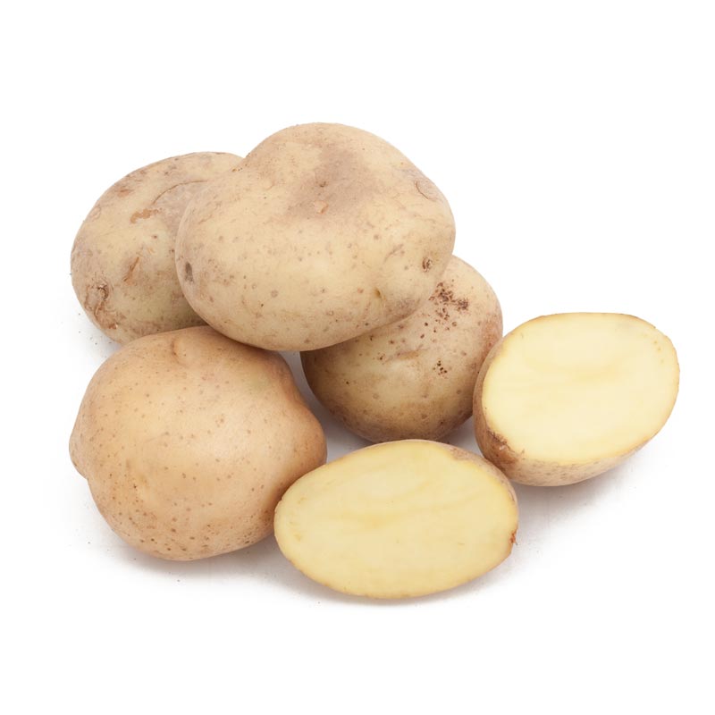 Spring-Planted Organic Yellow Finn Seed Potatoes - Grow Organic Spring-Planted Organic Yellow Finn Potato (lb) Potatoes