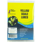 Pest Wizard Yellow Scale Lure 3-Pack-front
