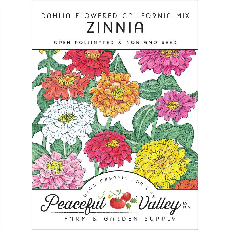Zinnia, California Mix (pack) - Grow Organic Zinnia, California Mix (pack) Flower Seeds