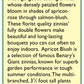 Renee's Garden Cutting Zinnia Apricot Blush - Grow Organic Renee's Garden Cutting Zinnia Apricot Blush Flower Seed & Bulbs