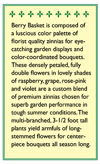 Renee's Garden Cutting Zinnia Berry Basket - Grow Organic Renee's Garden Cutting Zinnia Berry Basket Flower Seed & Bulbs